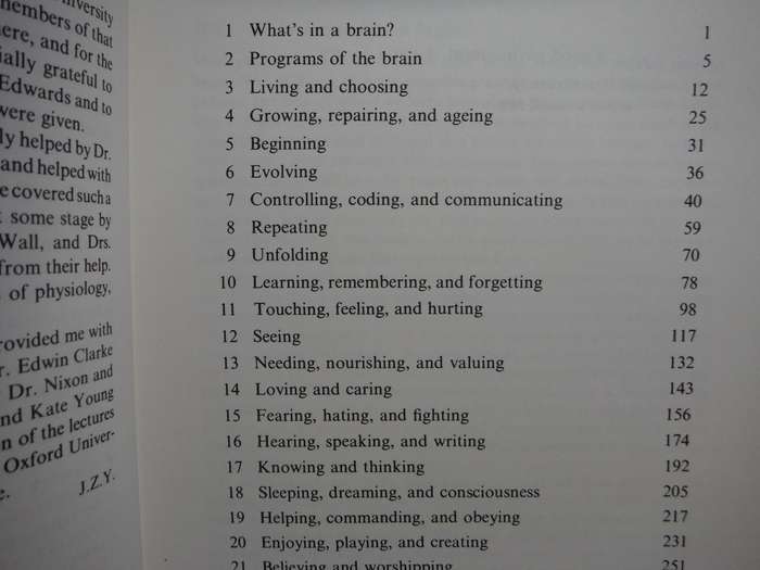 Programs of the Brain - Hardcover - J.Z. Young