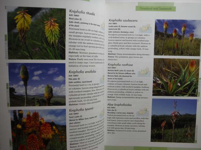 Photographic Guide to the Wildflowers of South Africa - Softcover - John Manning