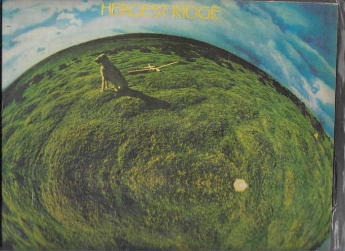 MIKE OLDFIELD- HERGEST RIDGE (LP VINYL)