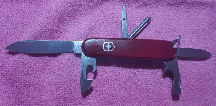 Victorinox -  Tinker with Red Scales