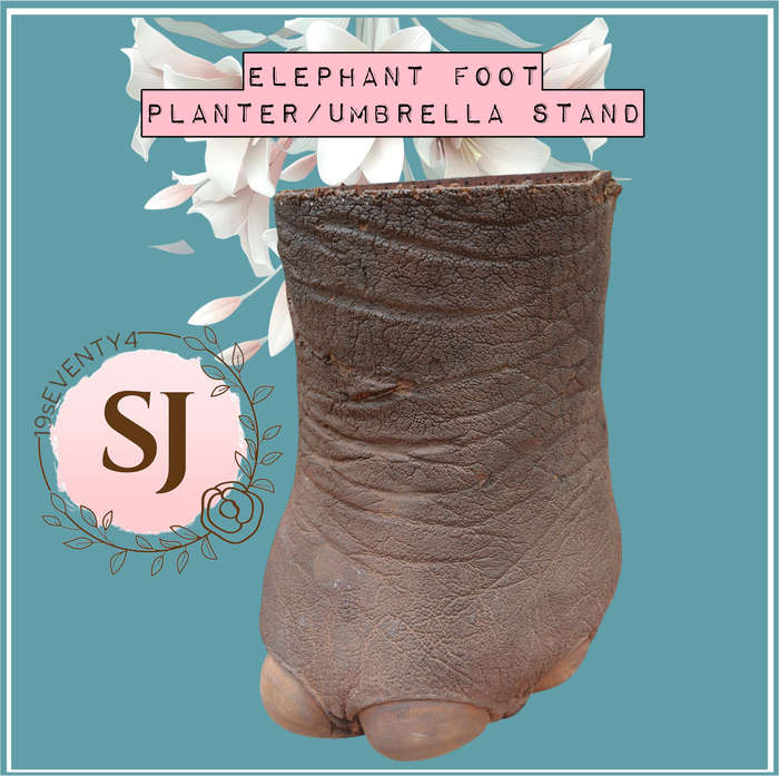 Vintage Elephant Foot