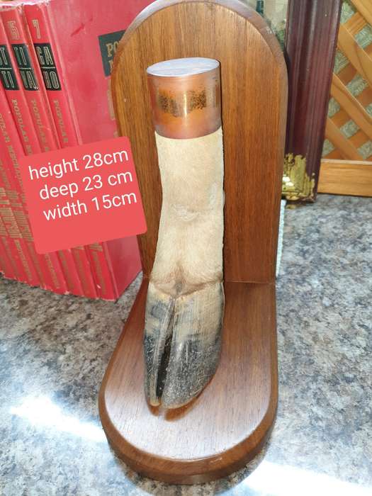 Stunning set Taxidermy book ends- Rare find