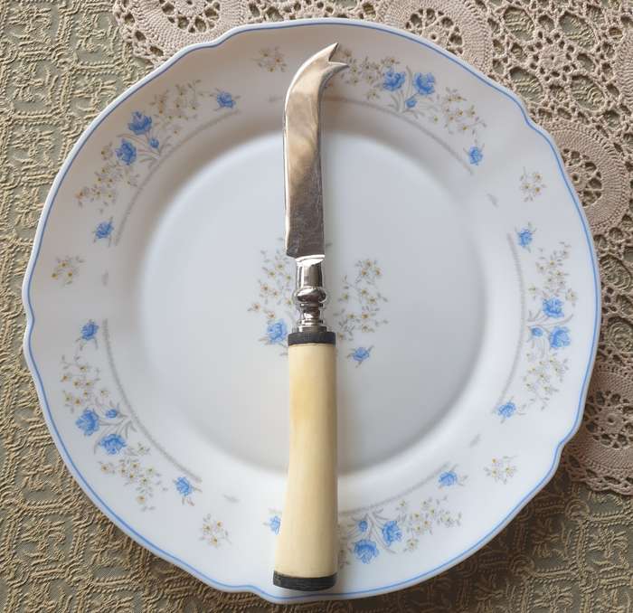 Bone Handle Cheese Knife