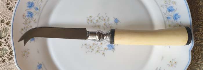 Bone Handle Cheese Knife