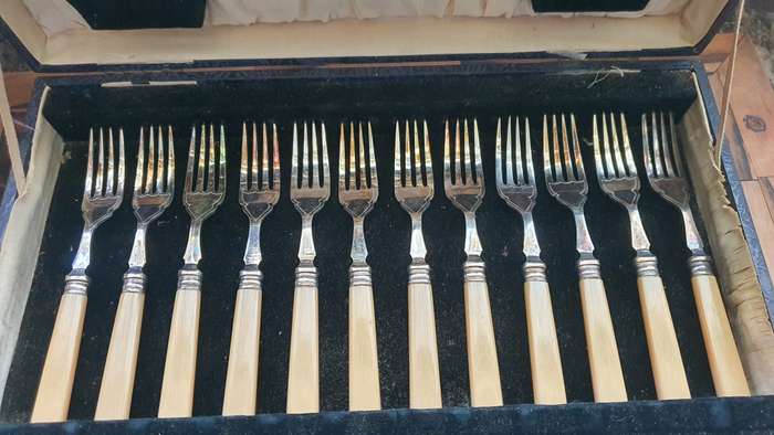 Vintage fish set from the 1950s