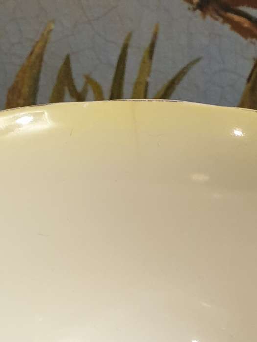 Royal Albert Vintage Teacups and Saucers | Bone China | Yellow  |