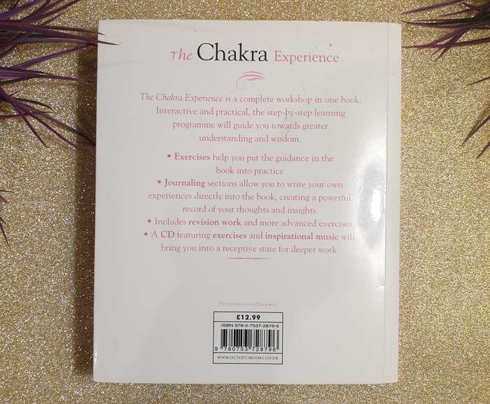 The Chakra Experience
