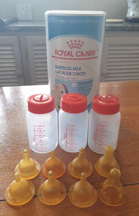 Royal Canin: puppy milk bottles  | 01|