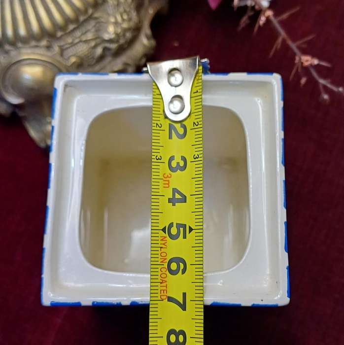 Vintage Art Deco Parrot & Co Coronet Ware  Jar | container |