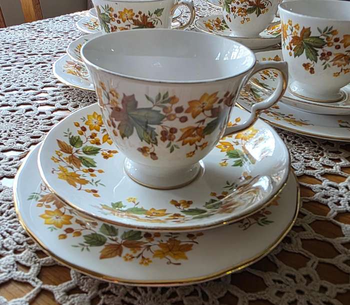 Queen Anne Bone China Tea Set | Autumn Leaves G671 Pattern |