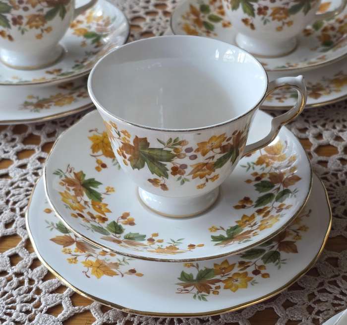 Queen Anne Bone China Tea Set | Autumn Leaves G671 Pattern |