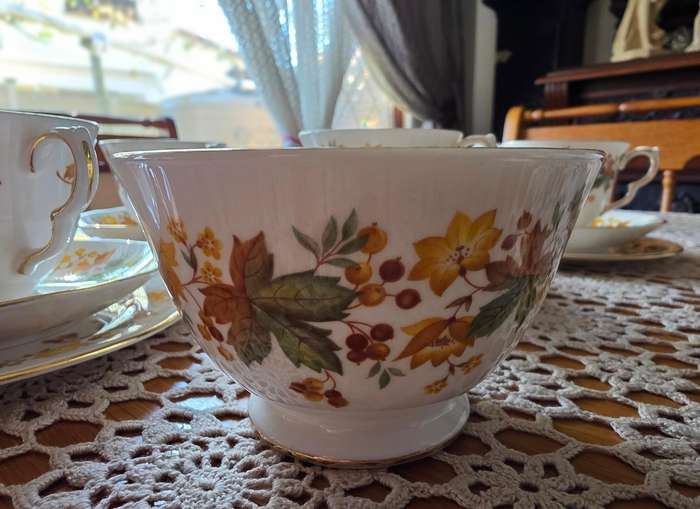 Queen Anne Bone China Tea Set | Autumn Leaves G671 Pattern |