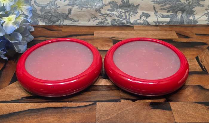 TWO Joie Food Saver Set | Fresh Stretch Pod |