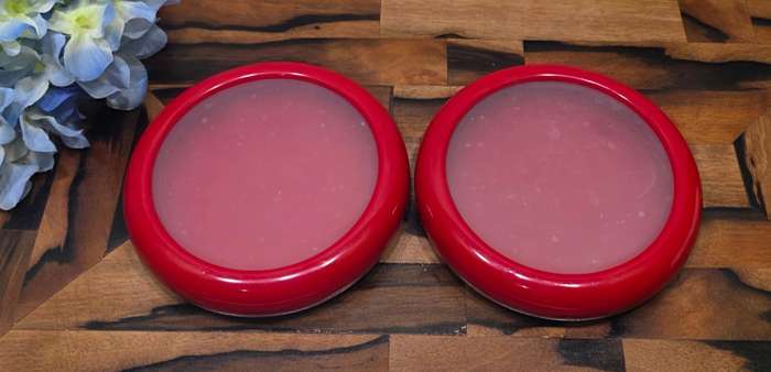TWO Joie Food Saver Set | Fresh Stretch Pod |