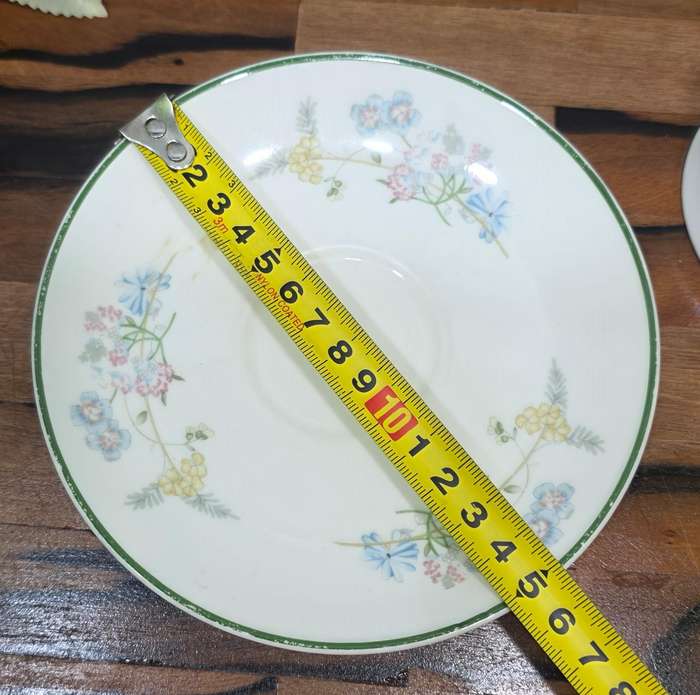 Royal Albert Bone China  Spring Dawn / New Romance