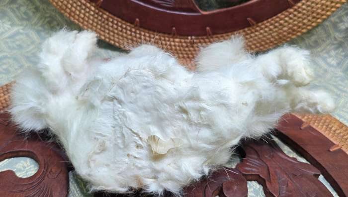 Vintage Rabbit Fur Item