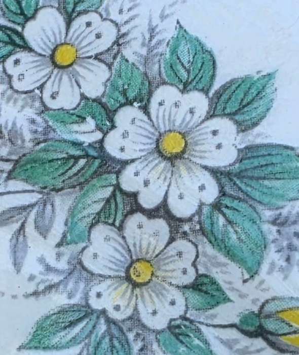 1 SIDE PLATE | QUEEN ANN | GOOD CONDITION | ENGLAND