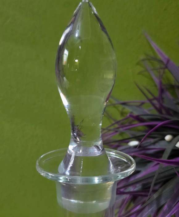 Glass Decanter