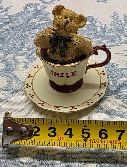 Collectable Teddy in Teacup