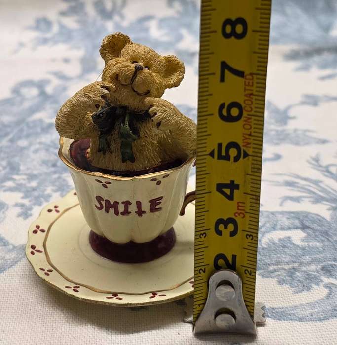 Collectable Teddy in Teacup