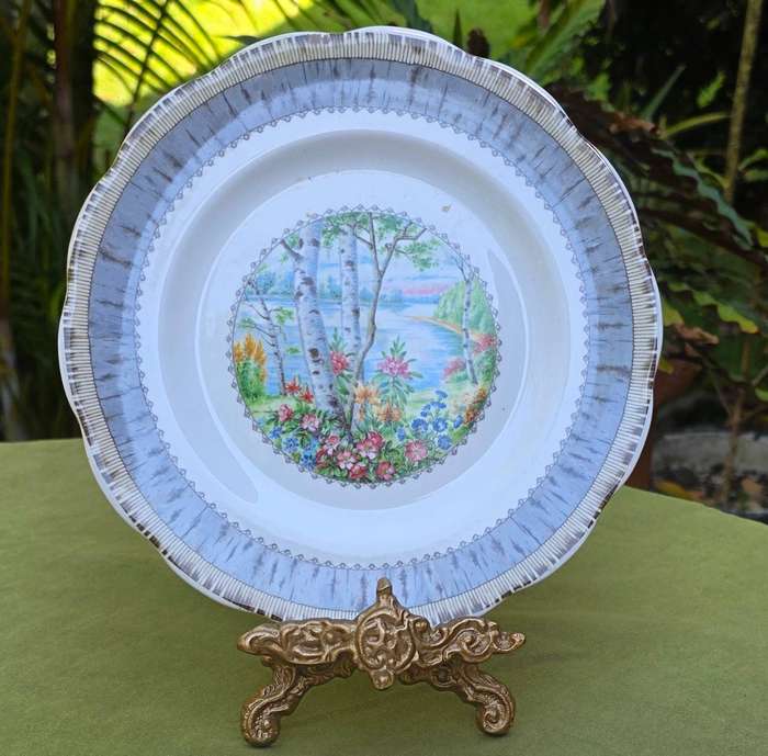 Set of 2 Royal Albert Wall Plates | Silver Birch | England