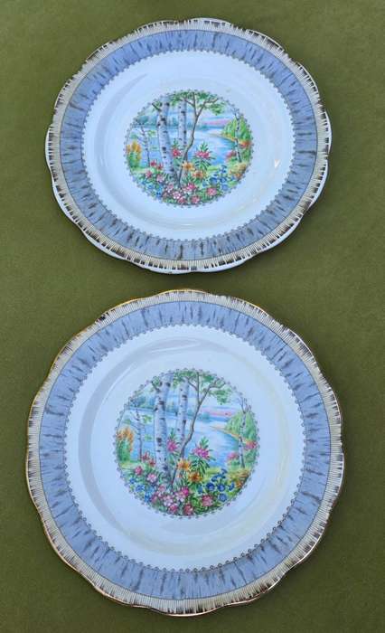 Set of 2 Royal Albert Wall Plates | Silver Birch | England