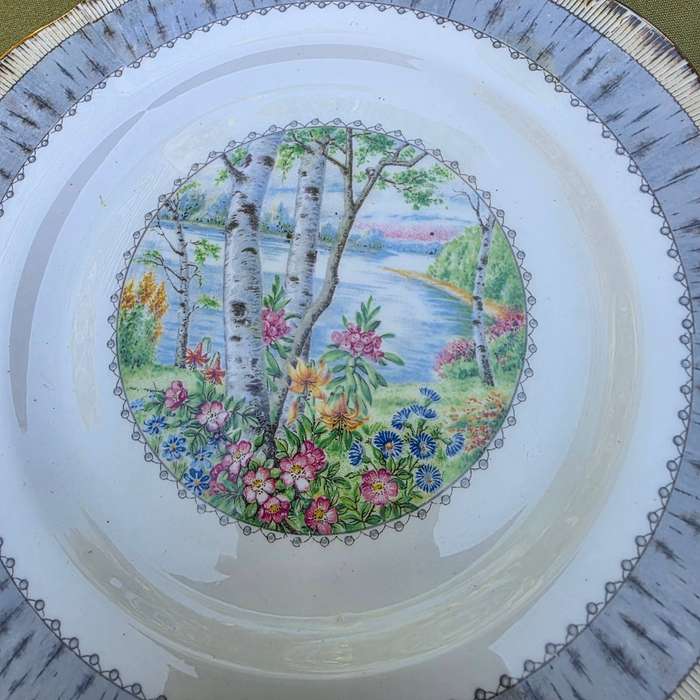 Set of 2 Royal Albert Wall Plates | Silver Birch | England