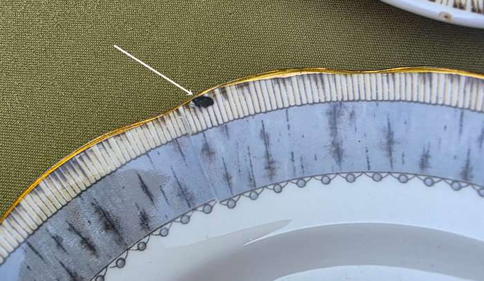 Set of 2 Royal Albert Wall Plates | Silver Birch | England