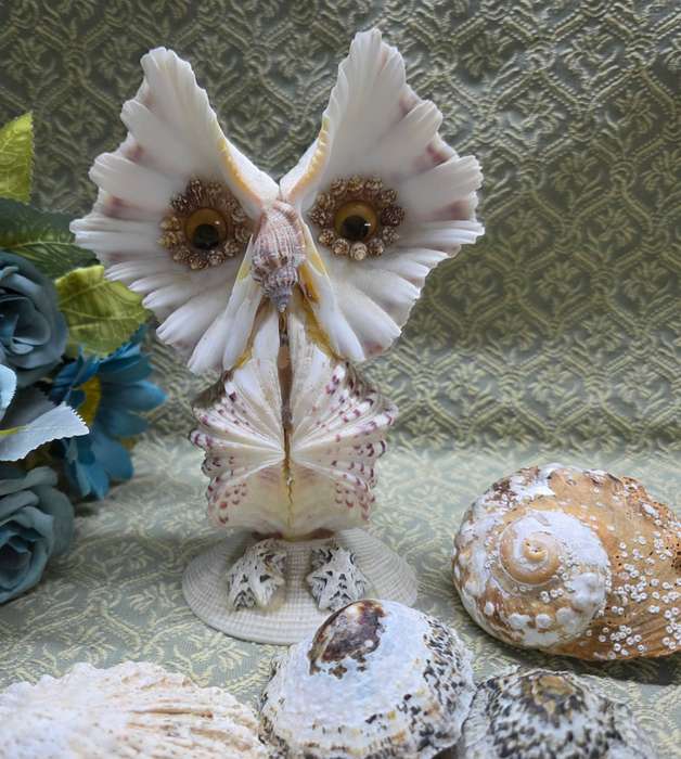 SEA  SHELLS | DECOR | ORNAMENTS |