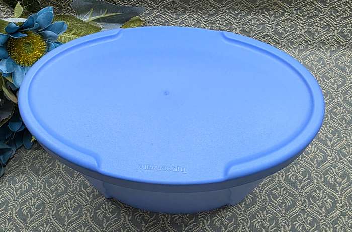 BLUE TUPPERWARE CONTAINER
