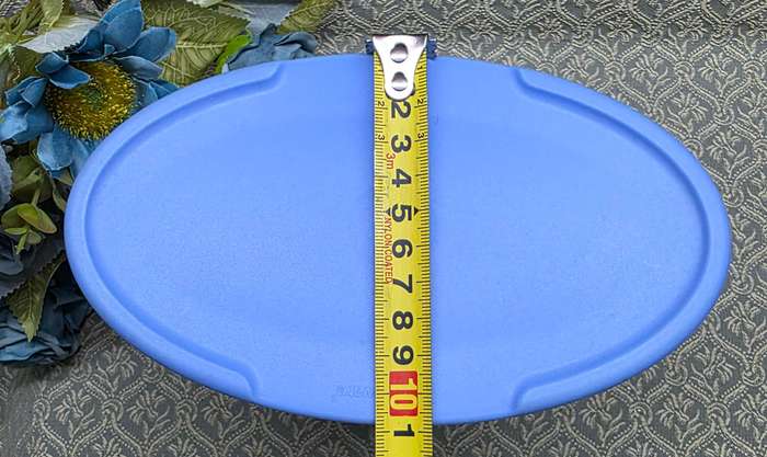 BLUE TUPPERWARE CONTAINER