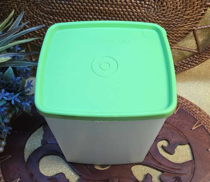 TUPPERWARE CONTAINER