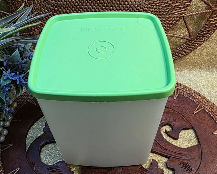 TUPPERWARE CONTAINER