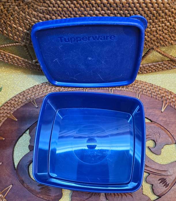 TUPPERWARE LUNCH BOX