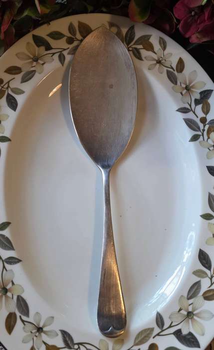 CAKE SERVER