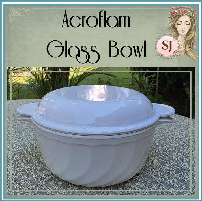 Acroflam Glass Bowl with Lid  Made in France | 22 x 11 cm
