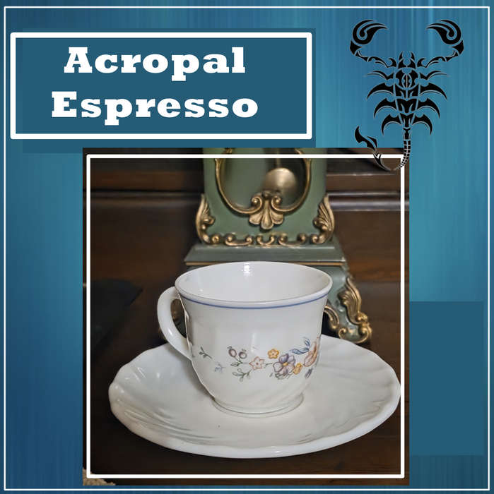6 Vintage Acropal Espresso Set