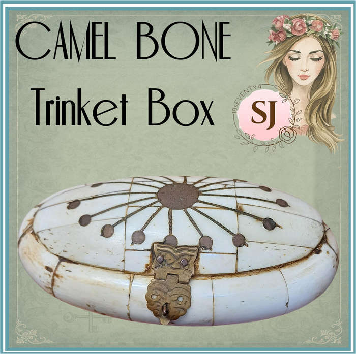 Vintage Hand-made  Ethnic Camel/Ox Bone and Brass Trinket Box/Lined in velvet