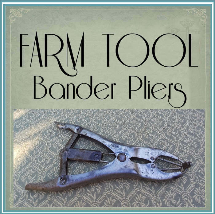 Farm Animal Livestock Elastrator Castration Bander Pliers  Preloved (22 x 11 cm)