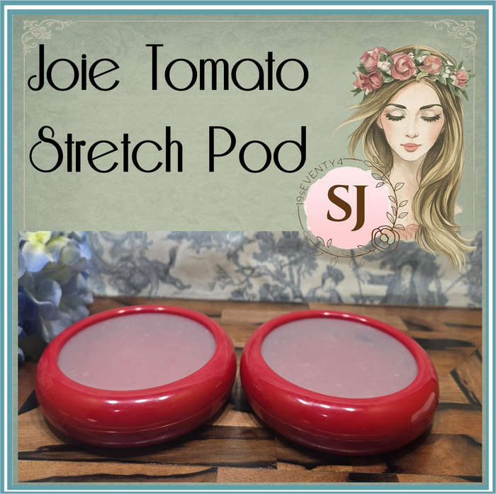 TWO Joie Food Saver Set | Fresh Stretch Pod |