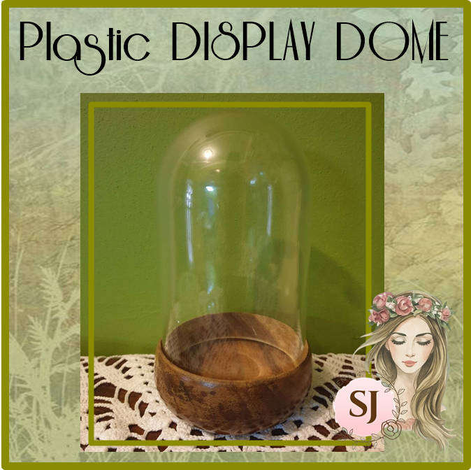 Plastic DISPLAY DOME WITH  wooden BASE