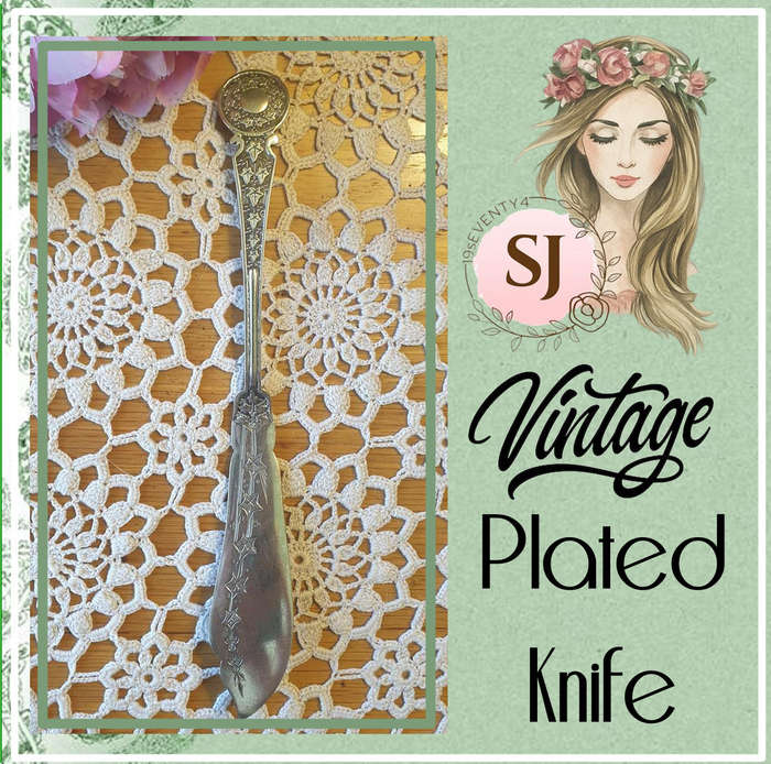 Vintage Plated Knife