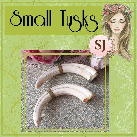 Set of Small Tusks | Decor |