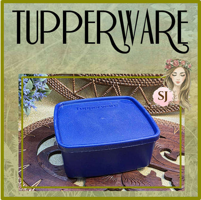 TUPPERWARE LUNCH BOX