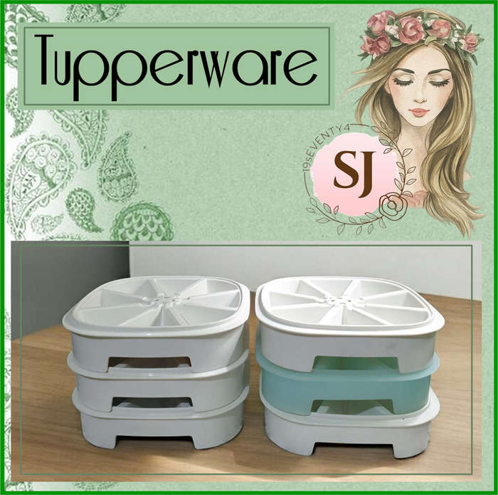 Set of 6 Vintage Tupperware Ice Cube Trays