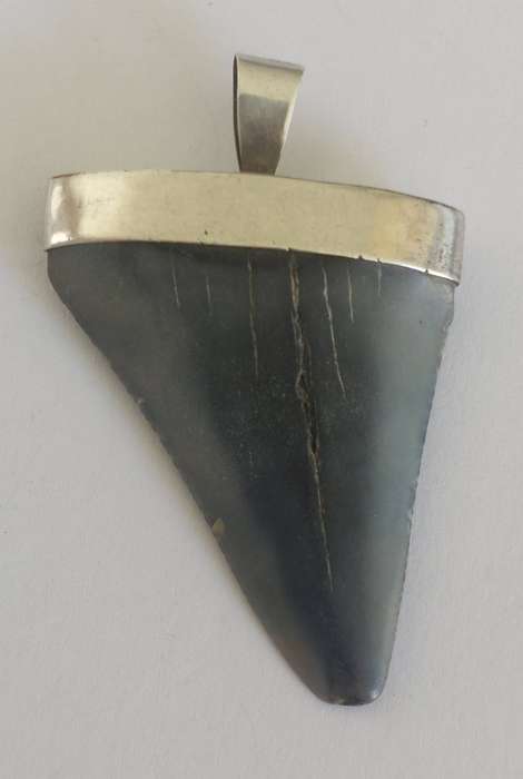 Amazing large vintage sterling silver fossilized shark tooth pendant 15.4g