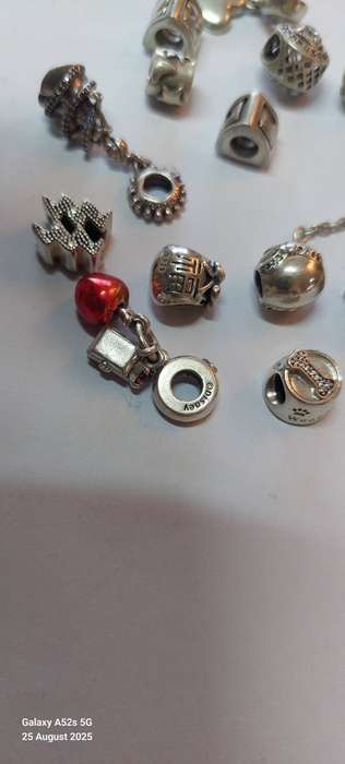 Wow! Collection of 12 Pandora charms & safety chain 48.4g Value R3200