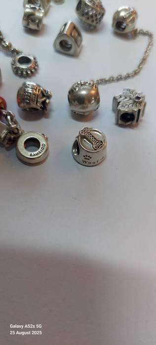 Wow! Collection of 12 Pandora charms & safety chain 48.4g Value R3200