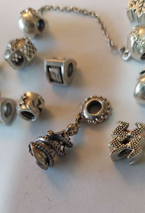Wow! Collection of 12 Pandora charms & safety chain 48.4g Value R3200
