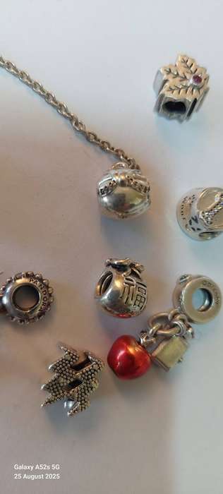 Wow! Collection of 12 Pandora charms & safety chain 48.4g Value R3200